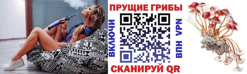ОМГ ОМГ ссылка  Давлеканово  Галлюциногенные грибы GOLDEN TEACHER  где можно купить наркотик 